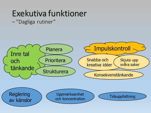 Funktionalitet och energireglering En person med Adhd kan klara av alla dessa funktioner, men inte i alla sammanhang och inte under en hel dag Vi måste skilja på begreppen prestation och funktion.