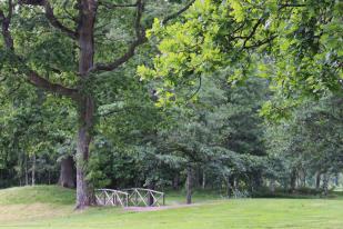 Gallrat skog runt hålet för bättre ljus och luftväxling. Ny ytvattensbrunn före green.