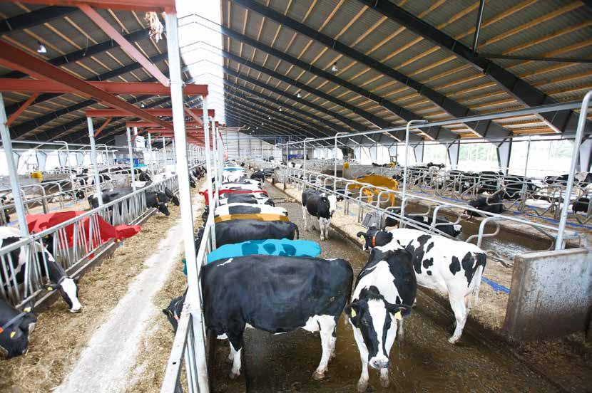 DeLaval Herd Navigator för VMS eller mjölkningsstall säg ja till framtiden.