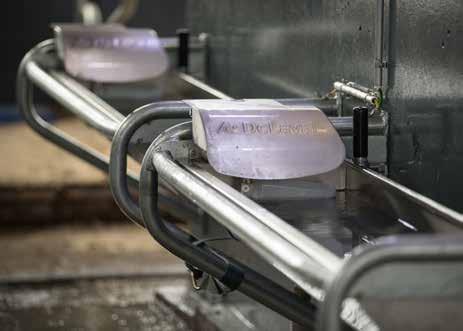 Vattenkar En mjölkko dricker mer än 100 liter vatten per dygn Det behövs 3-4 m runt vattenkaret för att reducera trängsel och knuffande vid karet.