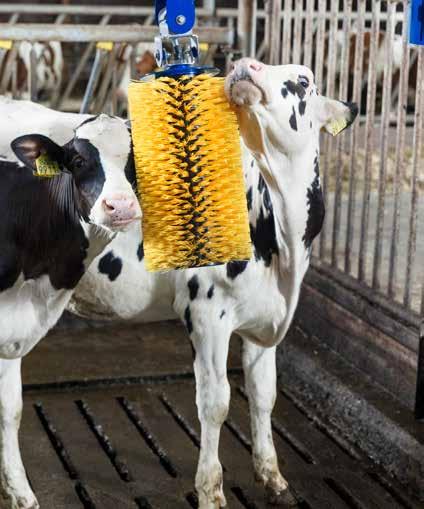 210 Denier, vattenavvisande nylonpolyester Urethan 4mm tjock Maximal komfort med polyesterfleece som andas DeLaval kalvtäcke (termotäcke) Håll nyfödda kalvar varma även i kalla stallar.