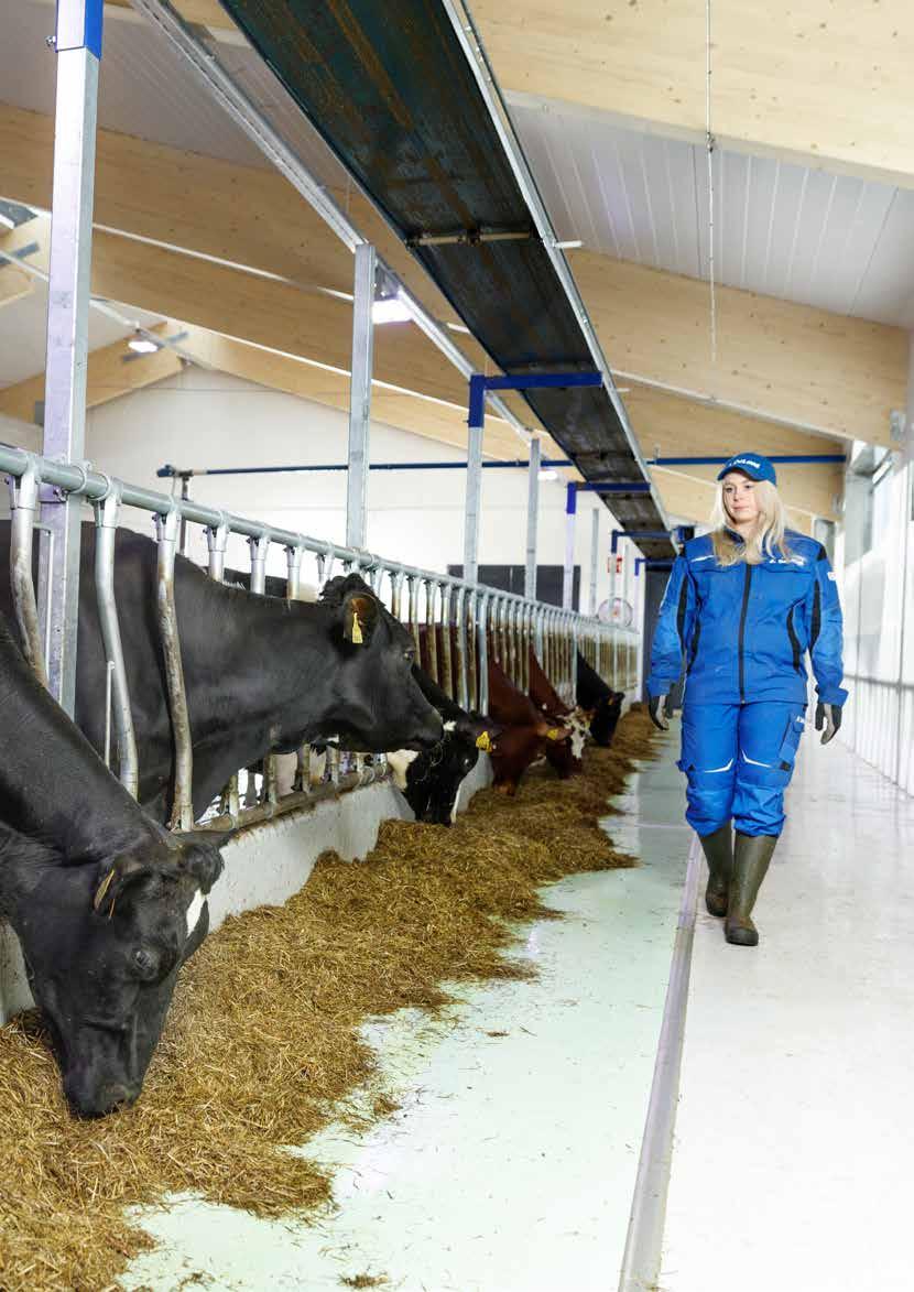 Foderbordsskydd Hygieniskt och slitsäkert i många år DeLaval