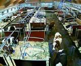 DeLaval FMC IP. På appen knappar du in aktuell kameras UID-nr.
