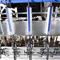 DeLaval stallplatsenhet MP580 Den lättanvända manöverpanelen vid mjölkningsplatsen har fokus på att sköta mjölkningen, samtidigt som den ger en pålitlig koppling till driftledningssystemet.