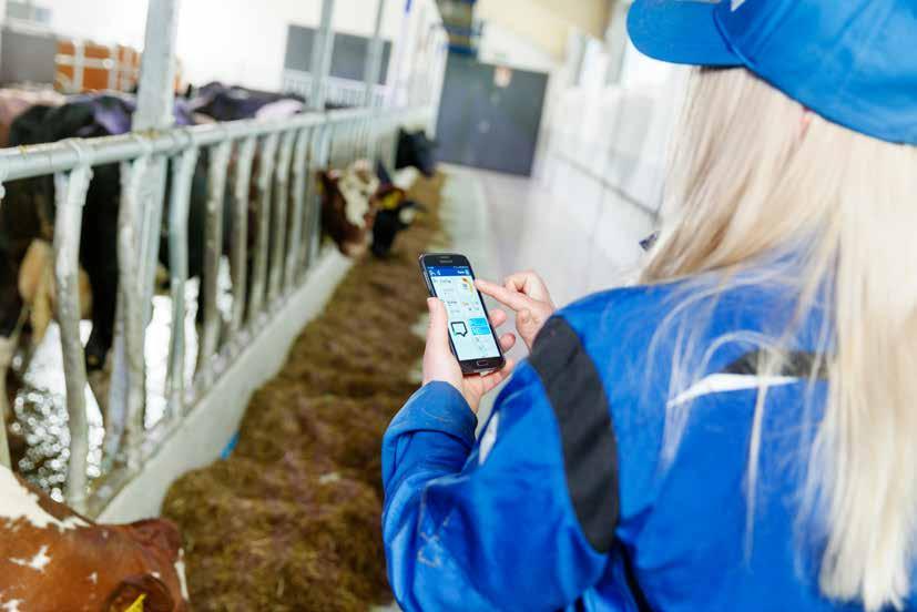 Utfodring Utfodring är den största kostnaden i mjölkproduktion.