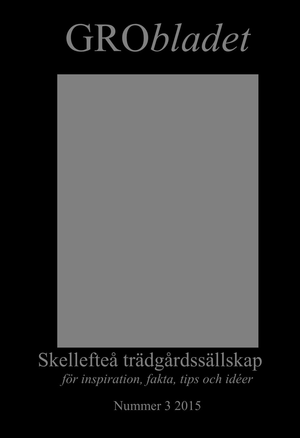 N GRObladet Skellefteå