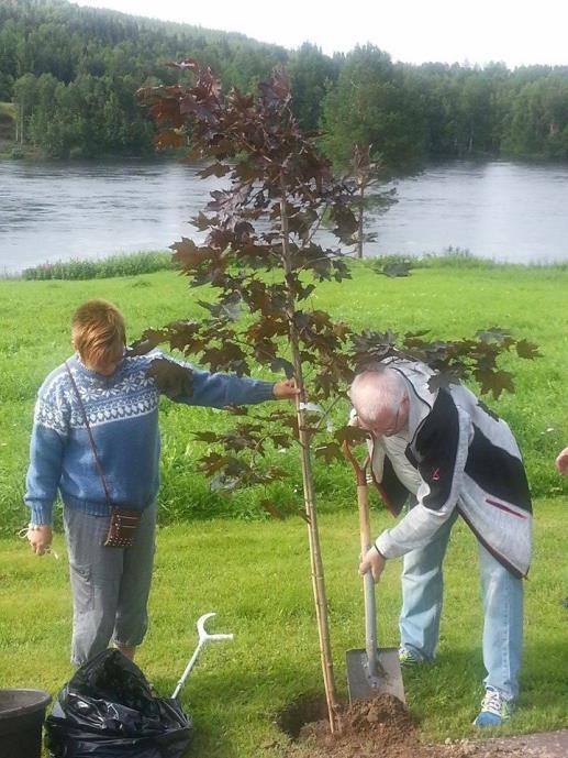 modelljärnväg som fyllde en stor del av trädgården. Vi planterade också traditionsenligt ett träd.