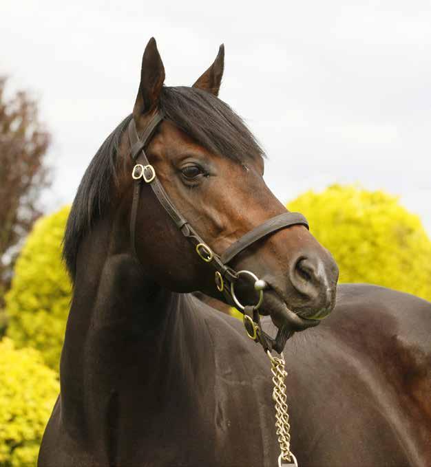 DERBYBANAN JÄGERSRO NR 1 ONSDAG 10 APRIL 2019 KLOCKAN 12.