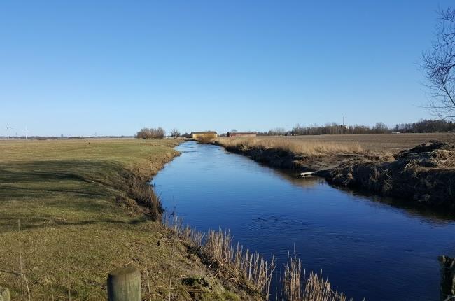 Vid skötseln används främst klippskopa för att avlägsna vegetationen. Vid enstaka tillfälle används grävskopa för att även återställa bottennivån genom att avlägsna sediment.