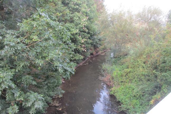 Vänstra bilden: uppströms cykelbron kantas ån av träd och buskar på båda sidorna.