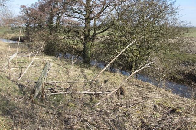 Vänstra bilden: erosion av slänten förkommer på vissa platser längs sträckan.