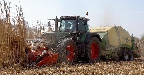 Figur 7. Ett majsbord, Kemper 3000, i fronten på en traktor och ett transportband under traktorn levererar elefantgräset till pressens pickup utan att materialet läggs på marken.