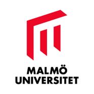 Jag läser kursen enligt kursplan för OM132B Jag läser kursen enligt kursplan för OM132A Omtentamen 2 för studenter i OM132B kurskd 1801 Omtentamen 5 för studenter i OM132A kurskd1101 DEL 1