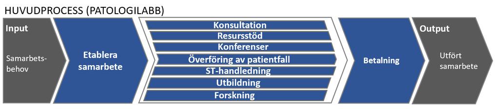 9 Figur 4 Ineras relation till nätverket Tjänster och processer Översiktligt önskar verksamheterna ha stöd för följande tjänster i nätverket, vilket därmed ställer motsvarande krav på