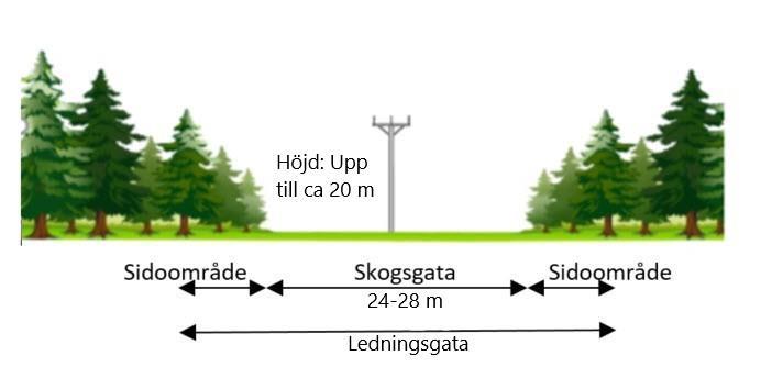 Figur 5. Principskiss över den vanligaste stolpkonstruktionen enbent linpost med 1,35 m fasavstånd.