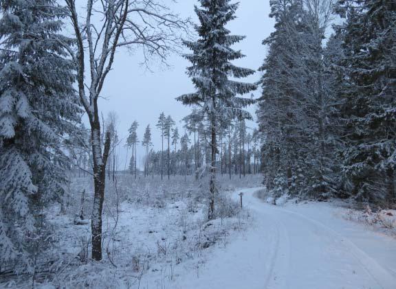 Detaljplan - Åtorpshagen - GRANSKNING 15 (22) Grusvägen som passerar omedelbart nordost om planområdet fungerar både som enskild körväg och som ridväg.