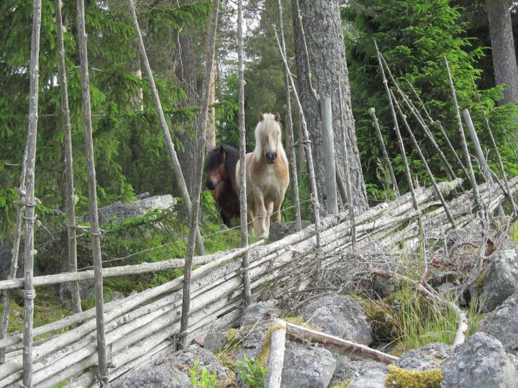 Rapport Länsmuseet Gävleborg 2012:20 OVANÅKER TILL MALVIK VÄG 605 Särskild utredning