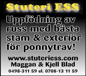 Stuteri Ess 12.20 8Lila Kategori B, körda av C- eller D- licensinnehavare. 1620 m. Tillägg Rekordhandicap grundtid 1.55,0. Prispoäng: 600-300-200-150-125-(100). Prispremier utdelas enligt prispoäng.