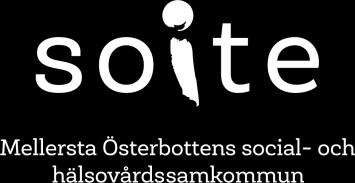 Msta Österbottens social- och hälsovårdssamkommun Soite Kriterier för hemvård Funktionsförmåga Servicebehov Mängden service Mål för service Nedsatt funktionsförmåga när det gäller att klara av