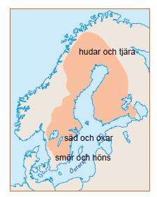 Sidan 11 16. a) Elevens svar. Exempel: b) Han sålde varorna till tyska köpmän och fick silvermynt som betalning. 17. a) Slotten har runda torn med tjocka väggar. b) 18. Elevens eget svar.