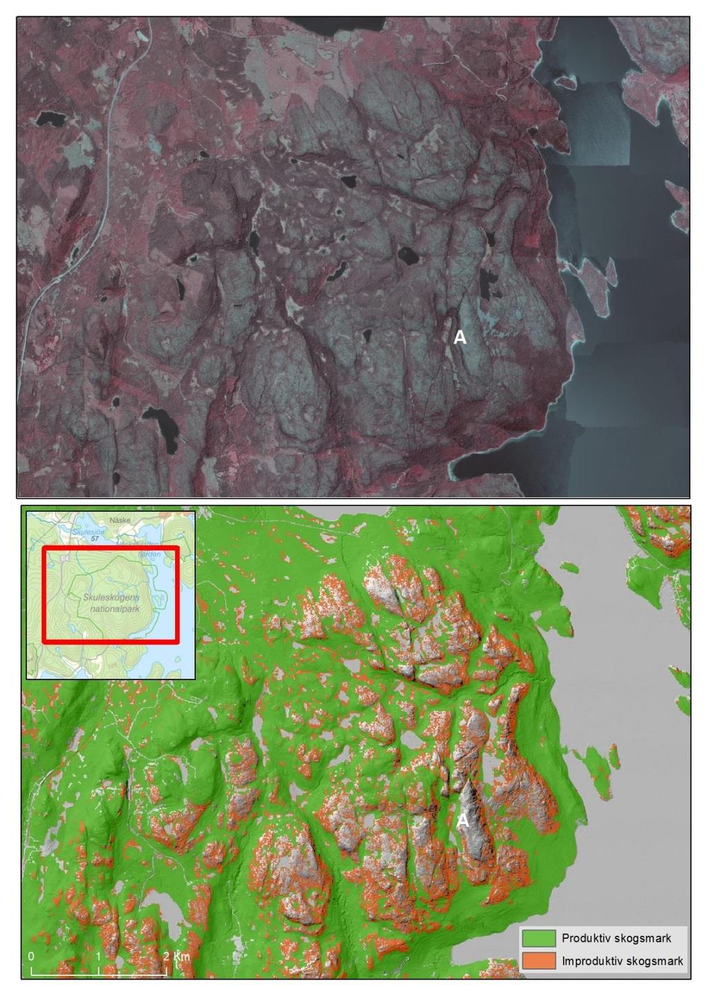 LANTMÄTERIET, GEODATASAMVERKAN Figur 6. Avgränsningen av improduktiv skogsmark i NMD håller acceptabel noggrannhet och är detaljerad.