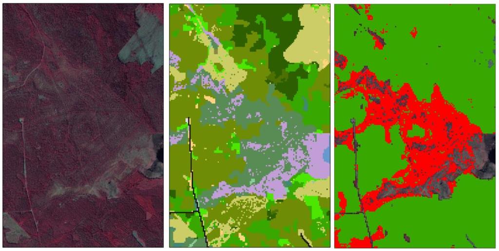 LANTMÄTERIET, GEODATASAMVERKAN LANTMÄTERIET, GEODATASAMVERKAN Figur 10. Mittersta bilden visar förekomsten av skog på våtmark i NMD som gråblått.