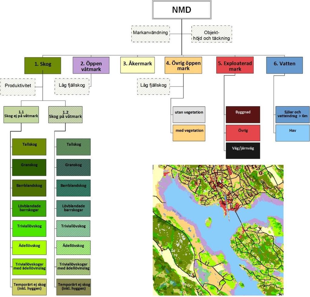1 Inledning 1.1 Bakgrund Nationella marktäckedata (NMD) är en heltäckande kartering av Sverige. Syftet är att få grundläggande information om landskapet och hur det förändras.