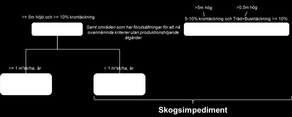 skogsmark i NMDs basskikt.