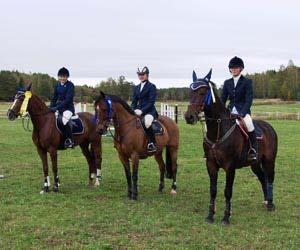 Kategori D Guld Linnea Jansson, Sithara, Enköpings RK Silver Rebecca von Knorring, Dodley, Björklinge RF Brons Kim Eriksson, Hot Lips, Enköpings RK Häst senior Guld Camilla Cederborg Löwl, Silver