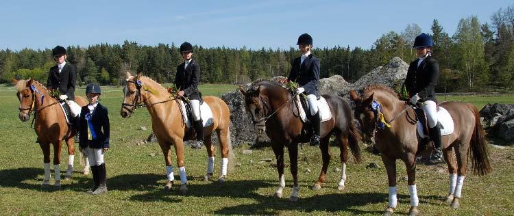 DRESSYR Dressyrkommittén Under 2007 har dressyrkommittén bestått av följande personer: Katarina Jansson, Inger Tiusanen, Inger Hedberg, Josefin Wennberg och Linnea Stag.