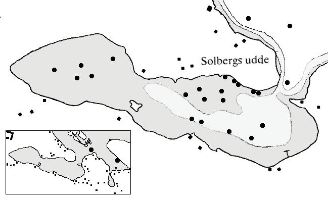 Kartor över placeringen av provpunkter och profiler Bilaga 2 Örserumsviken Ordinarie