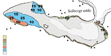 2 Vegetationens utbredning i Örserumsviken hösten 1999, 2, före saneringen, samt 23 och 24 efter. Siffrorna anger vegetationens totala täckning i %, färgen dominerande art enligt legend.