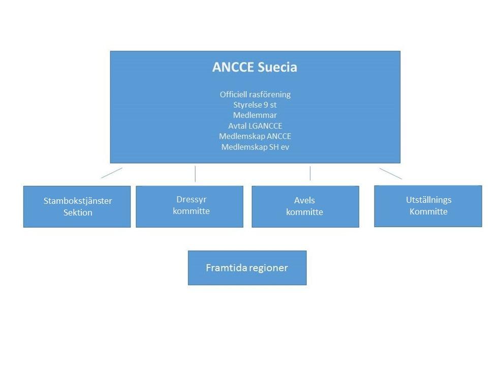 2(10) Egen styrelse utsedd av ANCCE Suecias ordinarie årsmöte Egen undersida kopplad till ANCCE Suecias hemsida som portal. Egen budget och kassa.