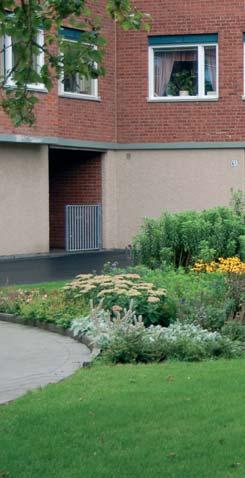 Rabattrosor Betecknar polyantha- och storblommiga rosor med rik blomning. Rabatten ska vara i stort sett ogräsfri.