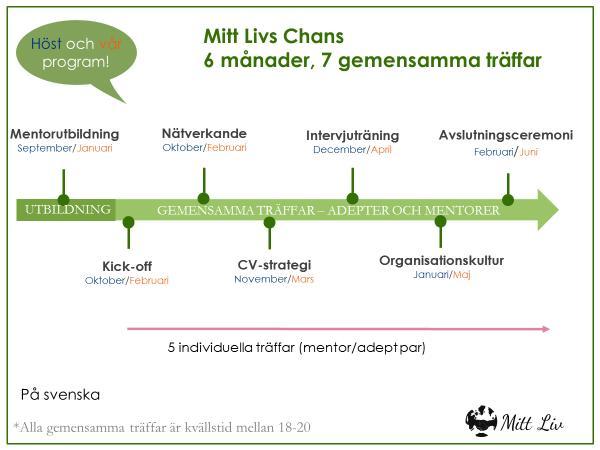 Mentorprogrammets struktur Det fysiska mentorprogrammet Mentorprogrammet pågår under sex månader. Vi har två programstarter per år i våra regioner.