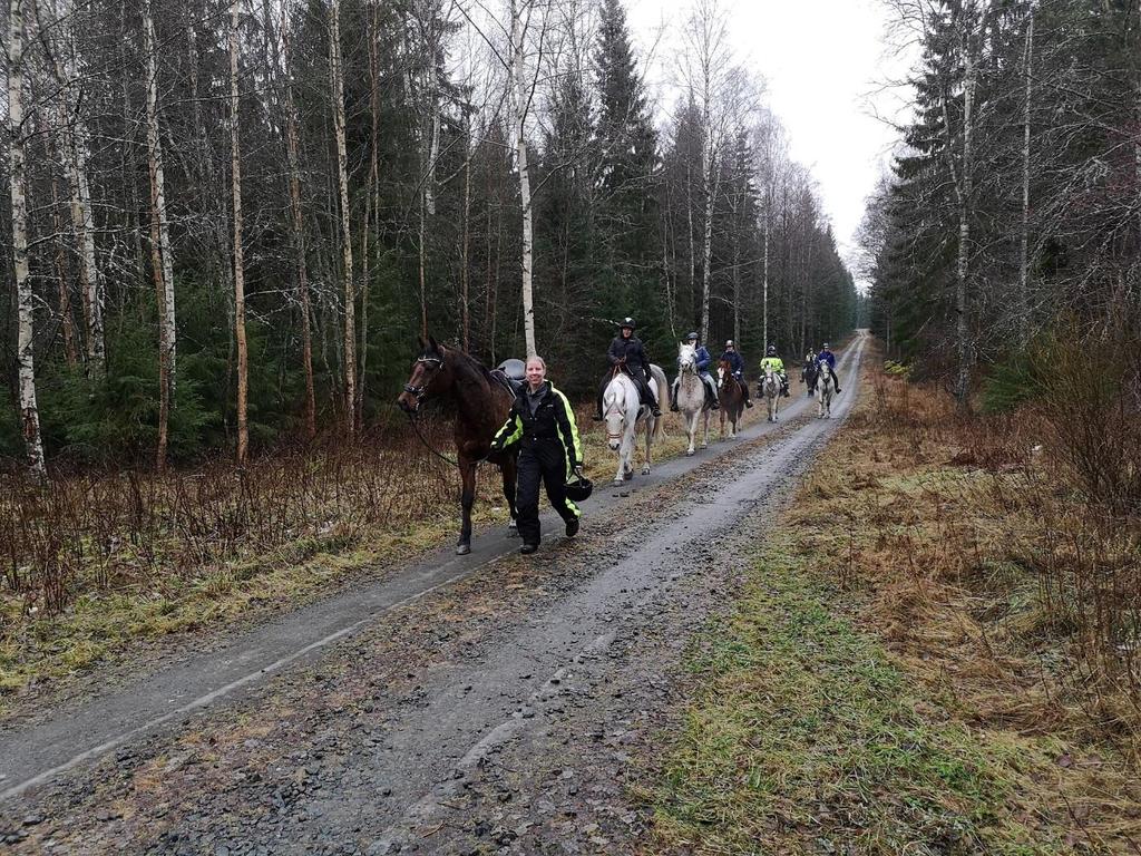 Julklappsritten ägde rum hos Irene utanför Laxå den 6 januari. 8 ekipage varav 6 var från klubben red en runda på strax över 60 minuter.