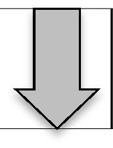B. Företagsstyrningssystem B.