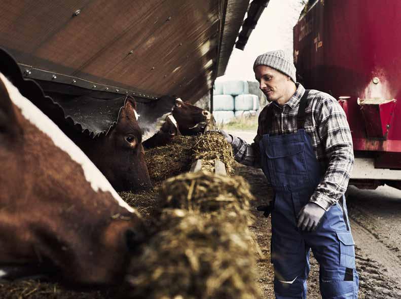 FORSKNING I TOPPKLASS OCH PRODUKTUTVECKLING DIG TILL GODO Hankkija är ett företag