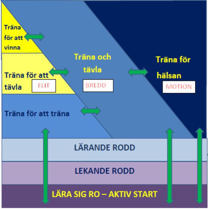 Innehåll Svensk rodds verksamhetsidé därför finns vi... 3 Grundförutsättningar det här är vi... 4 Värdegrund det här står vi för... 5 Strategi tillsammans är vi starka.