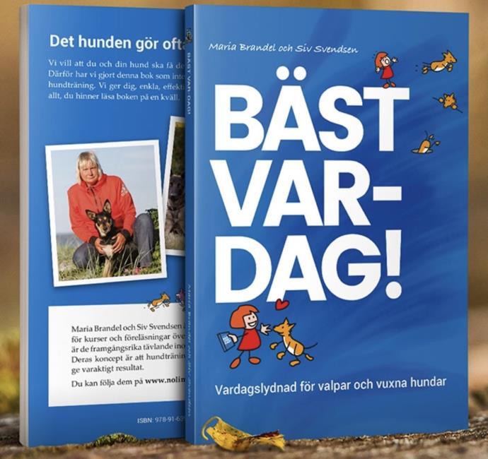 Exempel på pedagogiskt tips för kreativ undervisning Vad vill du?