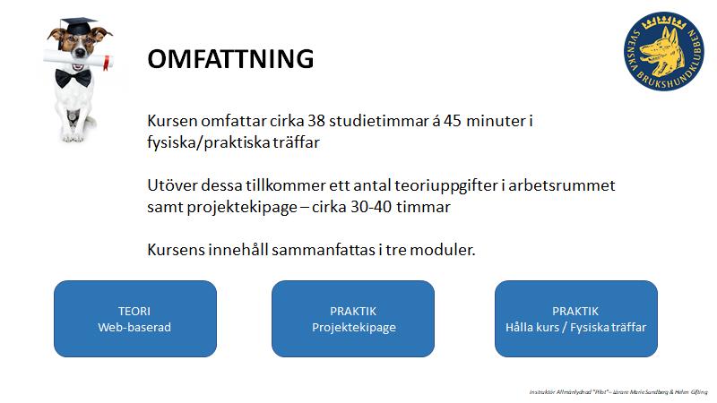 3. Nytt: Instruktör Allmänlydnad - pilot