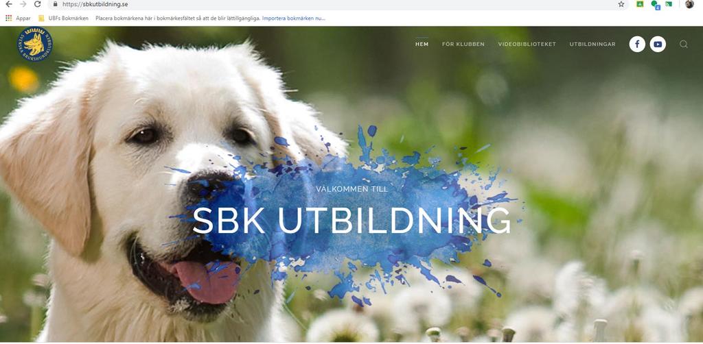 4. SBK utbildning - portal för NB-lärare? Erbjudande: SBK utbildning - en portal för oss NB-lärare (ALLA även de som inte har SBKlärarutbildning). Istället för FB-sida, är vi intresserade?