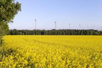 Framtiden växer på åkern och i skogen.