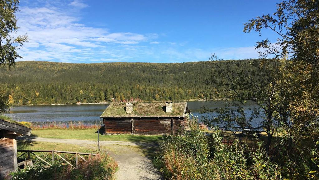 Aktuellt från SKL med fokus på den psykiatriska vården