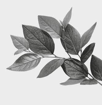 Vi arbetade vidare med att minska koncernens påverkan på klimatet och under året genomfördes flera intressanta projekt som på sikt kan innebära större användning av biobaserade plaster och återvunnen
