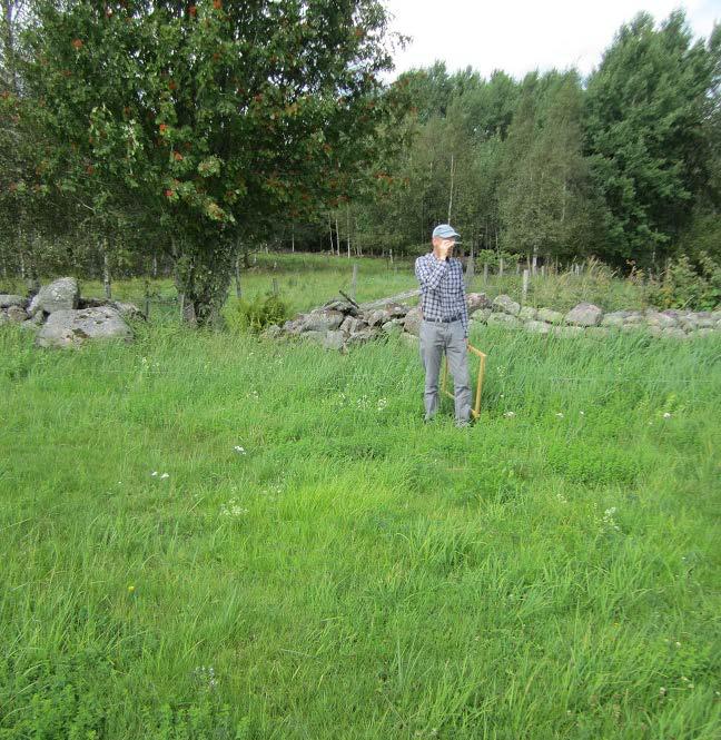 Vid inventering syftas en linje med syftkompass och inventeringsramen läggs med jämna avstånd längs parallella linjer. De arter vi hittade delade vi in i nio olika kategorier efter vad de indikerar.