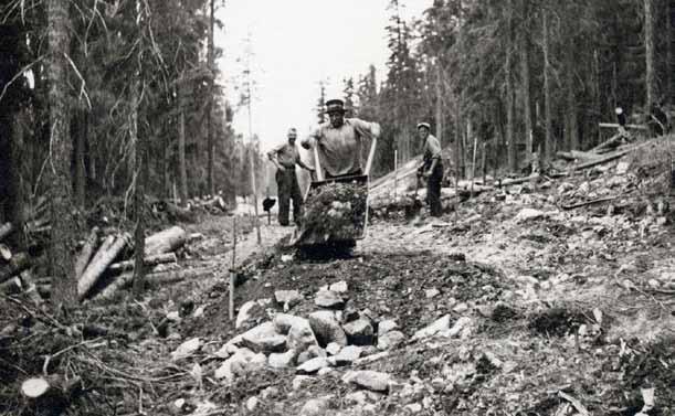Man ur huse skicka budkaveln vidare! Jordägare i Orsa, vi måste gå samman och hjälpas åt att rädda och försvara vår oerhört vackra besparingsskog från storbolagen Bergvik och Korsnäs girighet.
