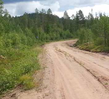 Röjningen ger oss: bra diken vattenavrinning vi slipper skymmande och hindrande vegetation upptorkningen av vägen blir bättre.