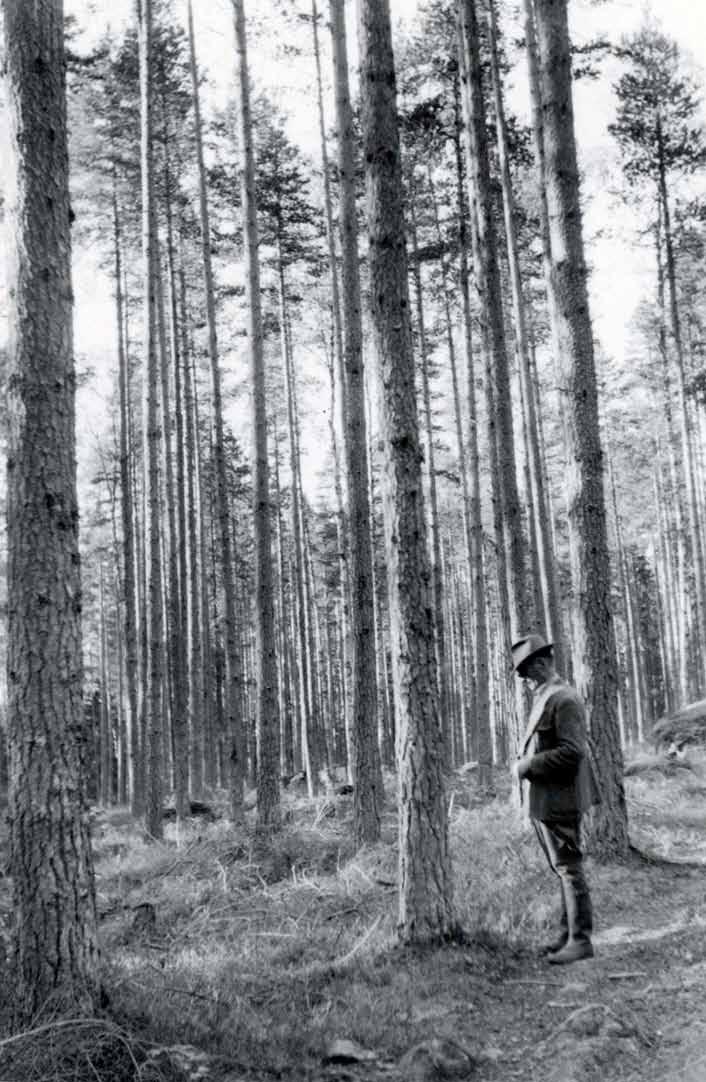 Naturbrukarna Sverige vår nya folkrörelse! För knappt ett år sedan dök en ung man upp på Orsa besparingsskogars kontor.