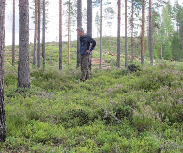 Detta möte var startpunkten för Naturbrukarna Sverige och slutet för att Besparingsskogarna sitter med armarna i kors.